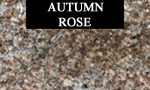 COLORS06_AUTUMN-ROSE-new2