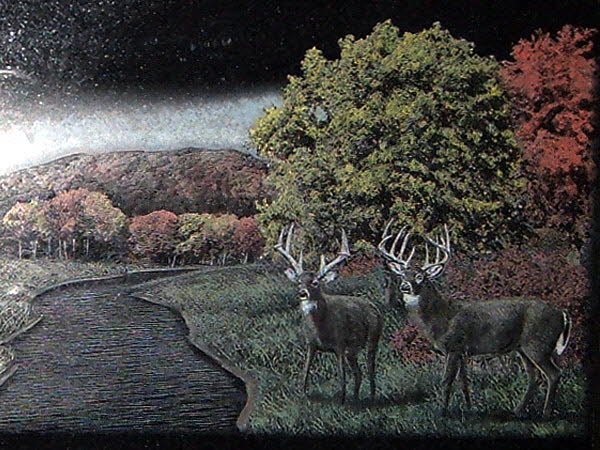 2009_DEER