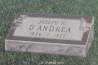 D878_DANDREA