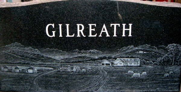 2010_1124_GILREATH_BACK