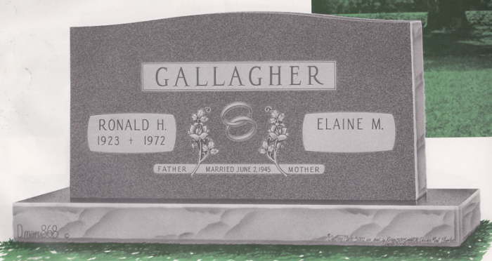 D868_GALLAGHER