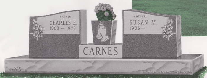D869_CARNES