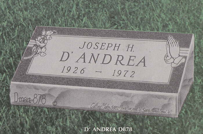 D878_DANDREA
