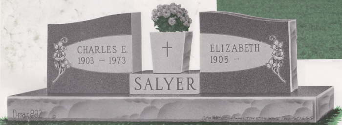 D892_SALYER