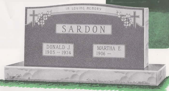 D910_SARDON