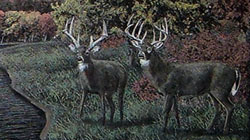 LASER_2009_DEER_250